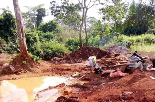 Article : Quand l’orpaillage clandestin tue la Côte d’Ivoire