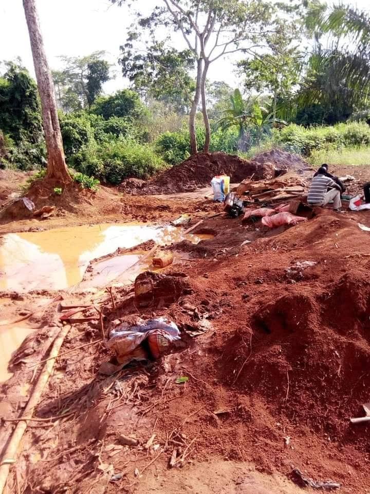 Article : Quand l’orpaillage clandestin tue la Côte d’Ivoire